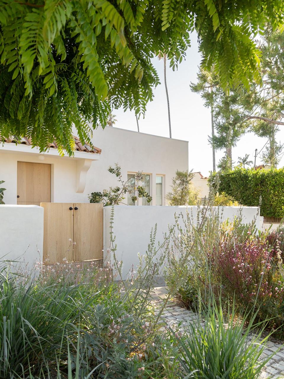 LA house with native plants