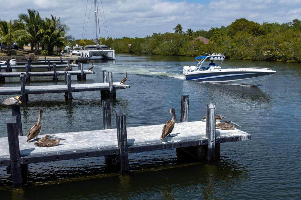 A boater moves down the channel on Black Creek Canal leading toward Biscayne Bay at Black Point Marina in Homestead, Florida, on Tuesday, March 21, 2023.