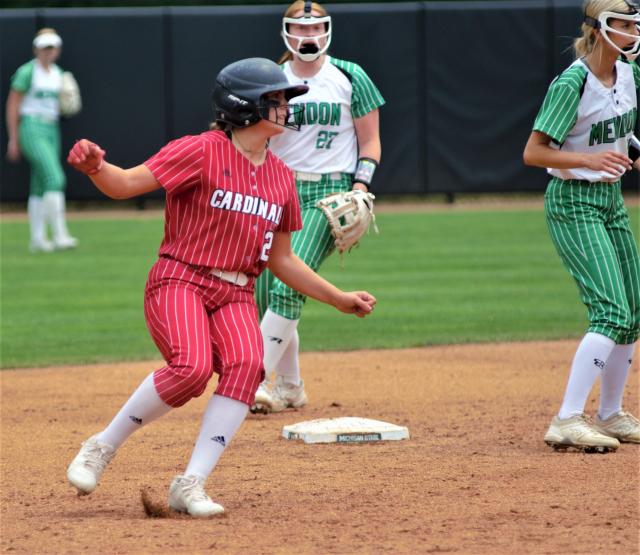 Joburg Cardinals target Final Four return after 4-2 setback in state  softball semifinals, Sports