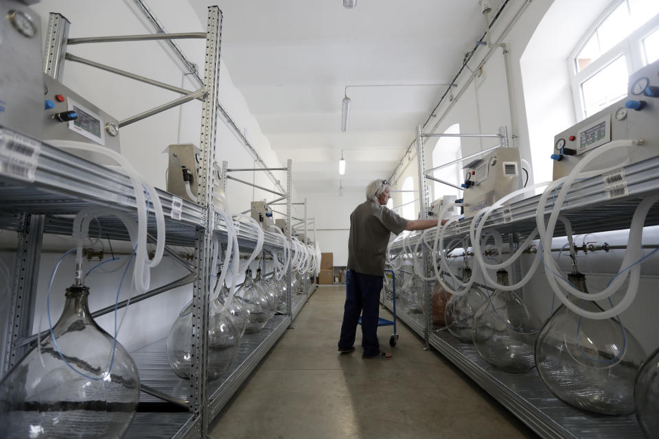 A worker checks a lung ventilator "Corovent" manufactured in Trebic, Czech Republic, Wednesday, June 17, 2020. A group of volunteers in the Czech Republic was working round the clock to prevent critical shortage of ventilators for COVID-19 patients. A team of 30 developed a fully functional ventilator _ named Corovent _ in just days. They secured the necessary finances through crowdfunding, approached a leading expert in the field with a request for help and gave him all possible support. (AP Photo/Petr David Josek)