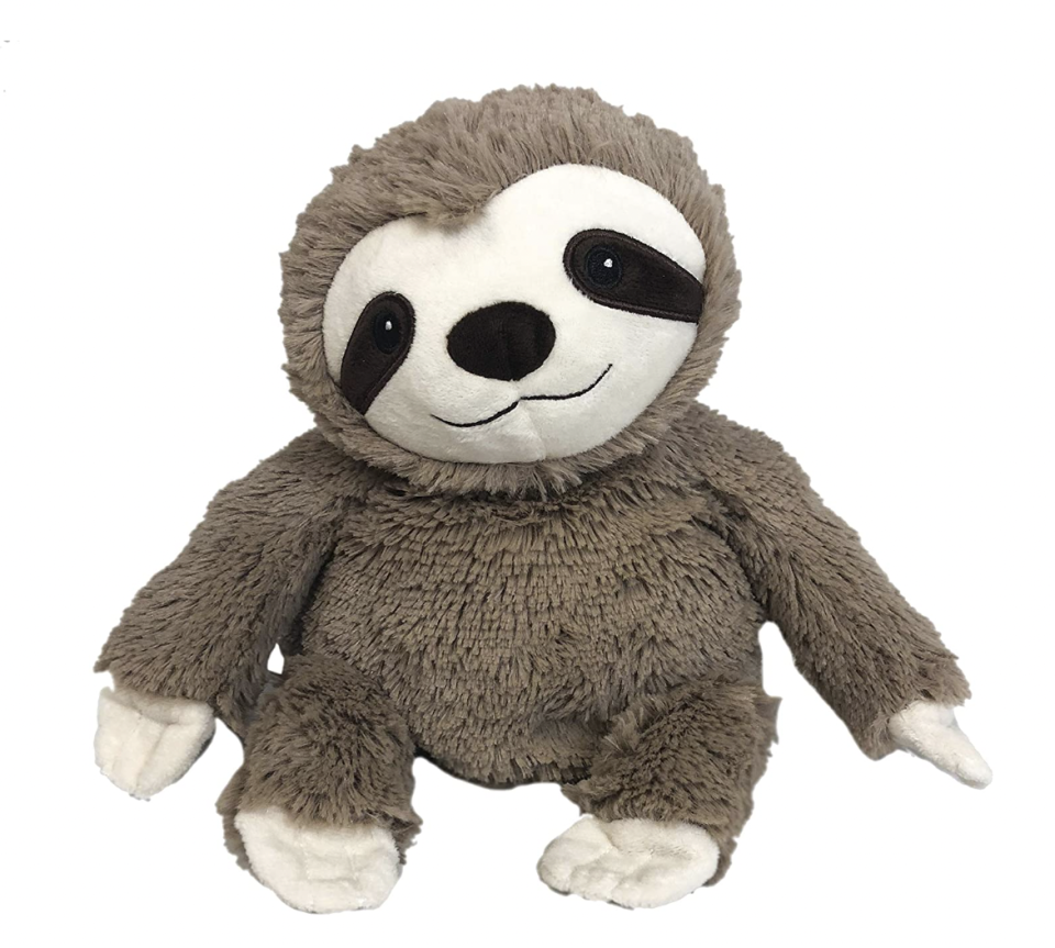 <p><a href="https://go.redirectingat.com?id=74968X1596630&url=https%3A%2F%2Fwarmies.com%2Fproducts%2Fweighted-heated-sloth-stuffed-animal-warmies%3Fvariant%3D32740108075096%26g_acctid%3D168-542-6056%26g_adtype%3Dnone%26g_campaign%3D05%252F12%252F2023%2B-%2BPmax%2B-%2BSHP%2B-%2BHigh%2BMargin%2BProducts%2B-%2BtROAS%2B-%2BUS%26g_campaignid%3D20126270313%26g_network%3Dx%26gclid%3DEAIaIQobChMI8uHE9-qyggMVEnh9Ch2j8QXxEAQYAyABEgJMQfD_BwE&sref=https%3A%2F%2Fwww.thepioneerwoman.com%2Fholidays-celebrations%2Fgifts%2Fg44774481%2Fbest-gifts-for-teens%2F" rel="nofollow noopener" target="_blank" data-ylk="slk:Shop Now;elm:context_link;itc:0;sec:content-canvas" class="link ">Shop Now</a></p><p>Warmies Microwavable French Lavender Scented Plush Sloth</p><p>warmies.com</p><p>$29.99</p><span class="copyright">Warmies</span>