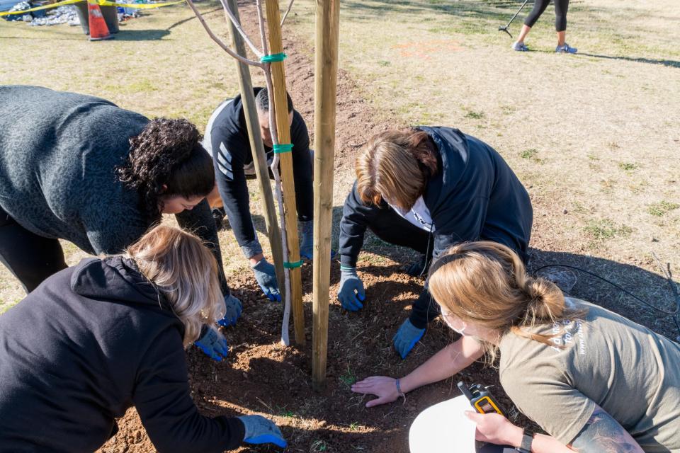 Emerson Elementary alumni from the class of 1988 plant a tree during an event hosted by the Arizona Sustainability Alliance at Emerson Elementary School in Phoenix, Ariz., on Feb. 27, 2022.