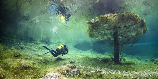 Even the trees live under water in the warmer months.