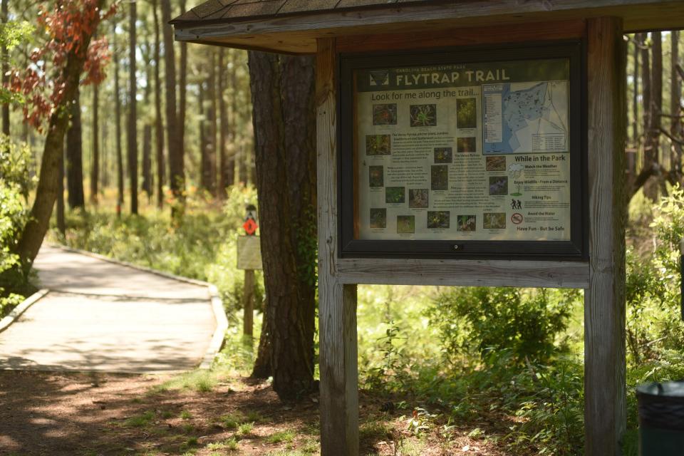 The Flytrap Trail in Carolina Beach State Park is one of a few attractions in the area.
