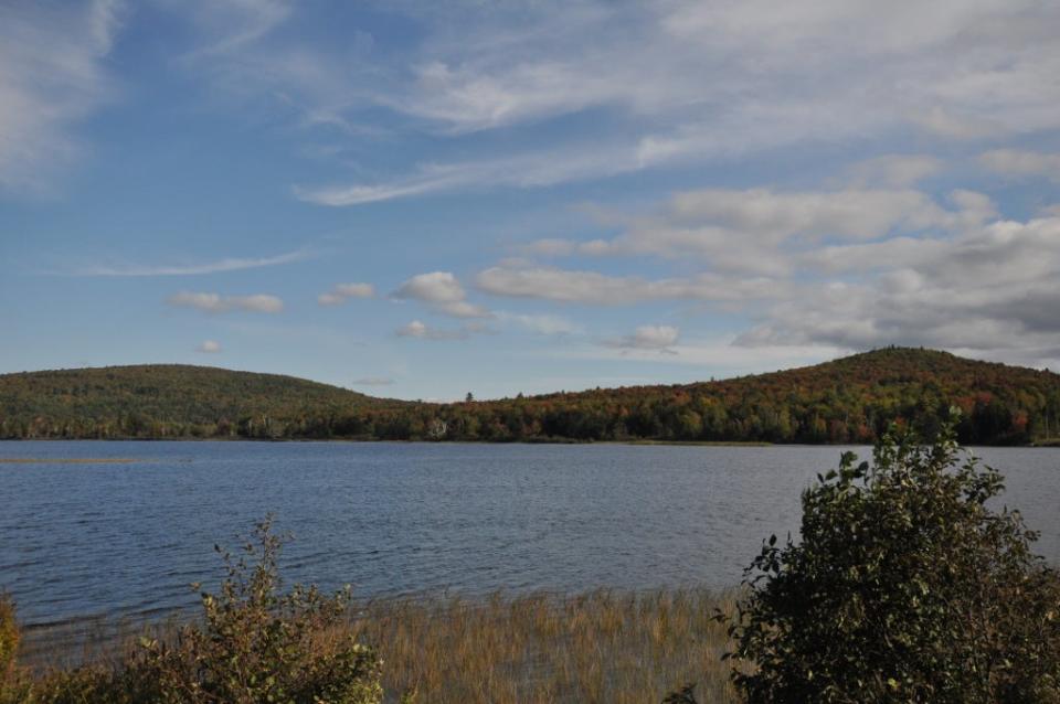 landscape view of lake surrounded by trees