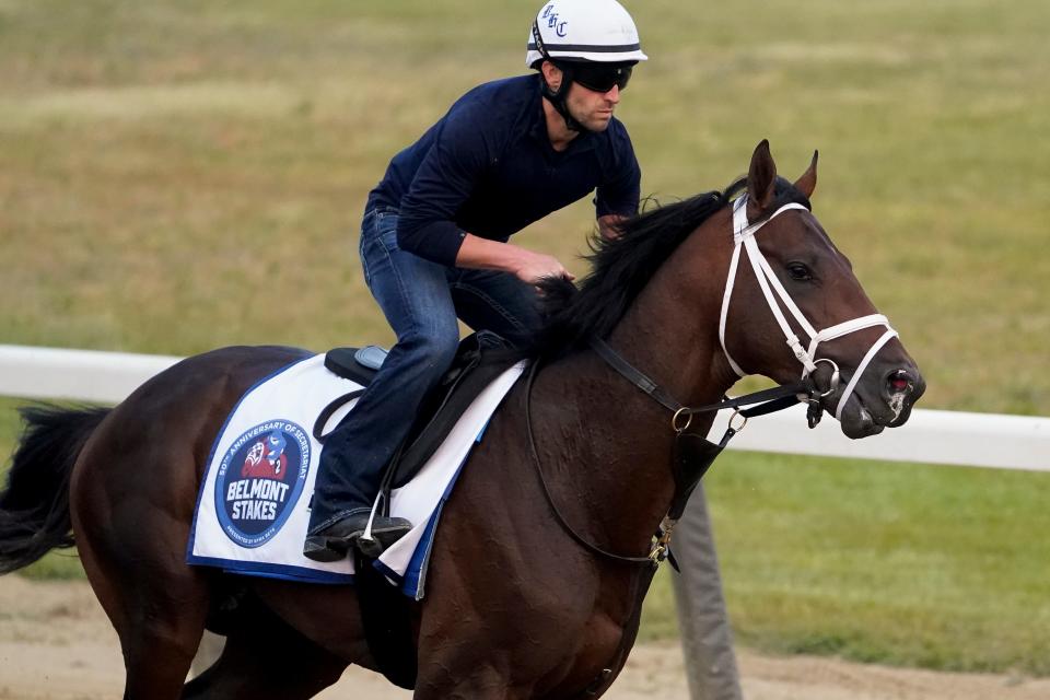 Angel of Empire trains ahead of the Belmont Stakes on Wednesday.