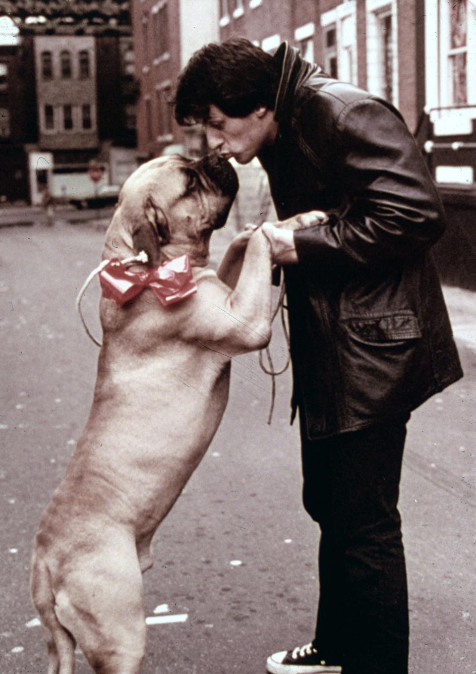 American actor Sylvester Stallone, as Rocky Balboa, kissing a dog in a still from the film 'Rocky,' directed by John G. Avildsen, 1976. (Photo by Fotos International/Courtesy of Getty Images)