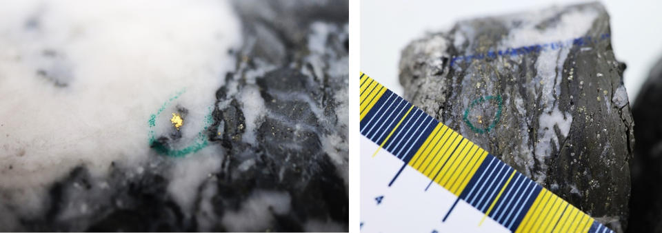 Figure 1: Photos of mineralization from Left: at ~160m in NFGC-23-1627, Right: at ~129m in NFGC-23-1886 ^Note that these photos are not intended to be representative of gold mineralization in NFGC-23-1627(Jackpot) and NFGC-23-1886 (Honeypot). (Photo: Business Wire)