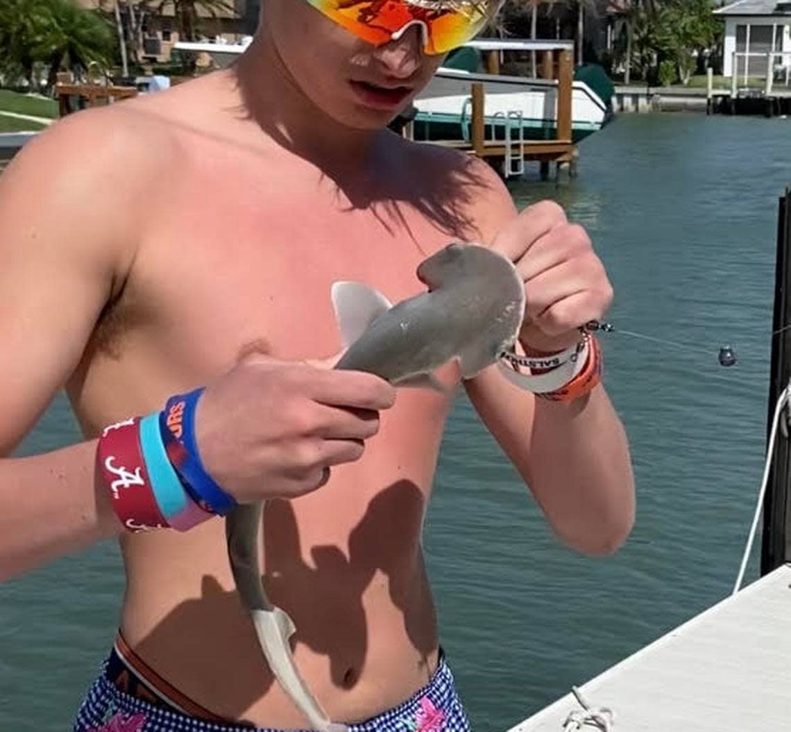 A teenager removes a hook from the mouth of a bonnethead shark before releasing back into a canal in Marco Island Sunday, Feb, 12, 2023.