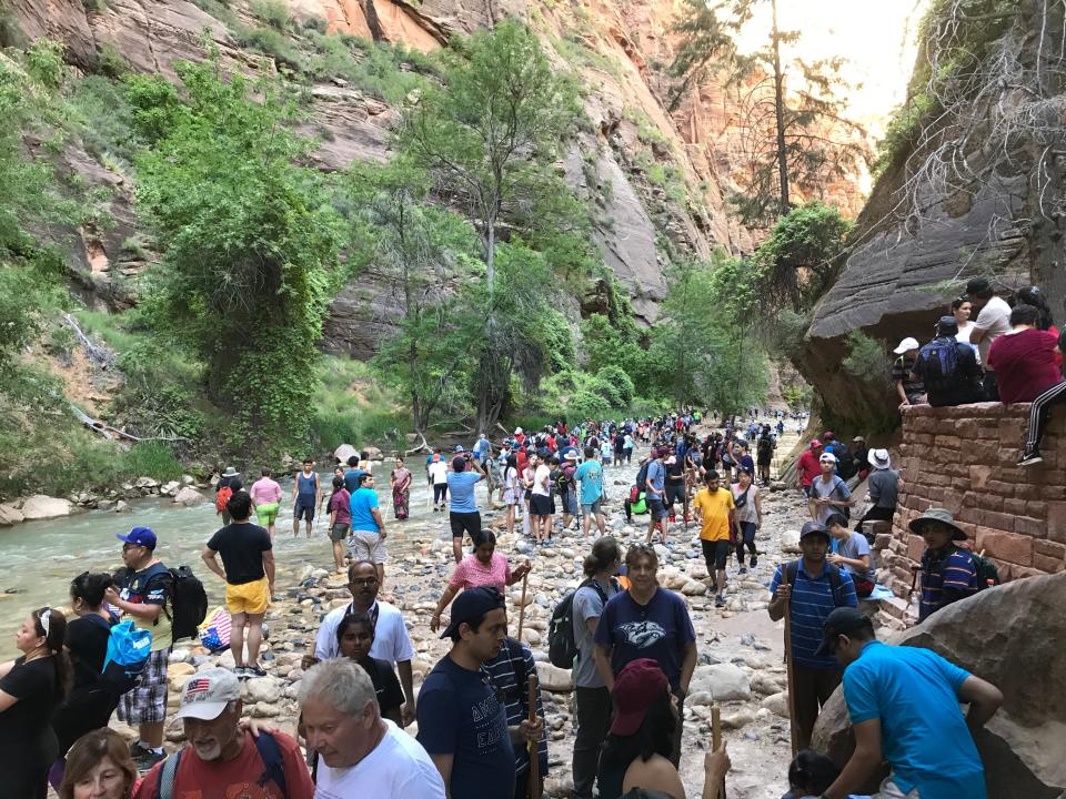 People crowd the trail known as The Narrows at Zion National Park over the summer.