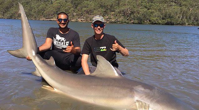 This bull shark was caught along Georges River in Sydney's south. Source: Facebook/Sydney's Fishing Forum