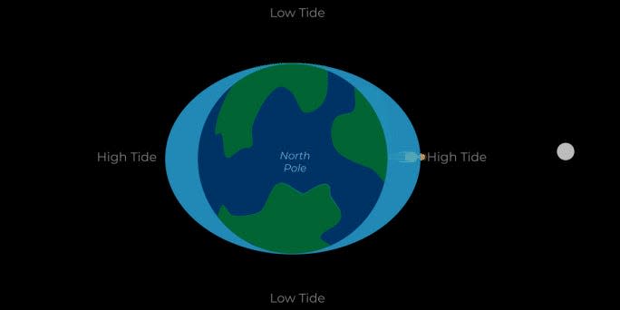 A gif showing the earth and the moon static shows how the tides raise the oceans towards our moon.