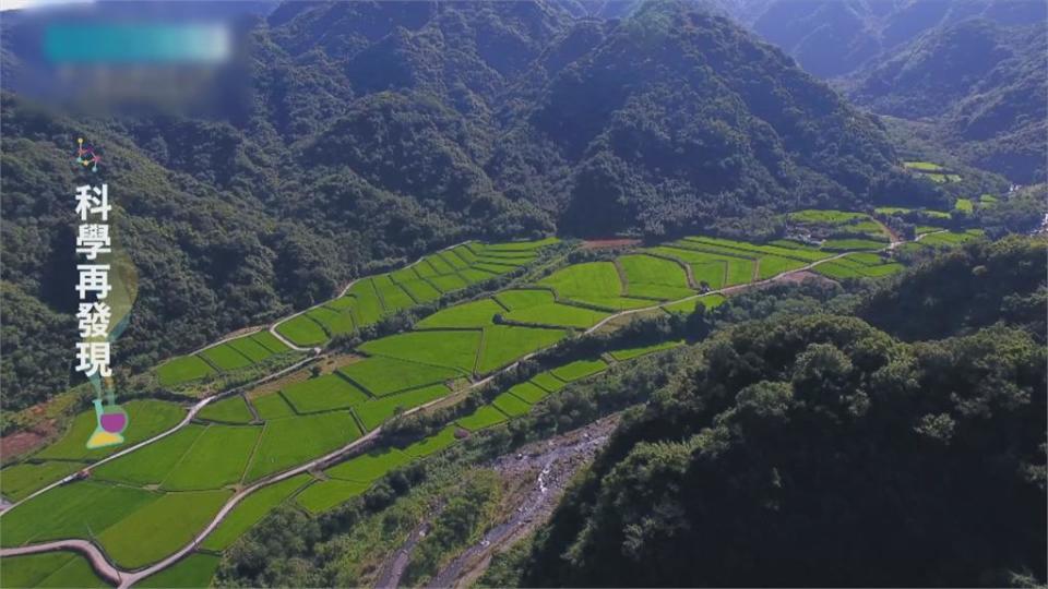 保育台灣農田濕地　達到「人與自然」和諧共生