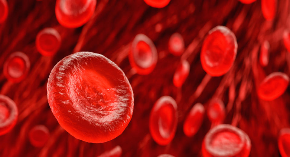 Microcytic anemia causes red blood smells to be smaller than usual. (Image via Getty Images)