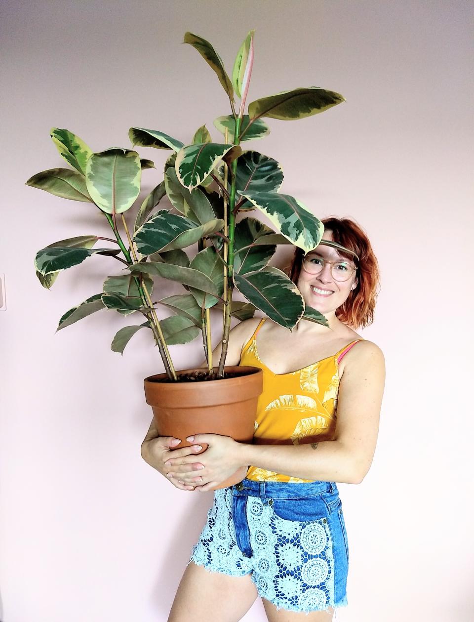 This undated photo shows Karin Scholte holding a Ficus elastica plant in the Netherlands. Scholte's Instagram feed is devoted to houseplants. (Patricia Scholte/Karin Scholte via AP)