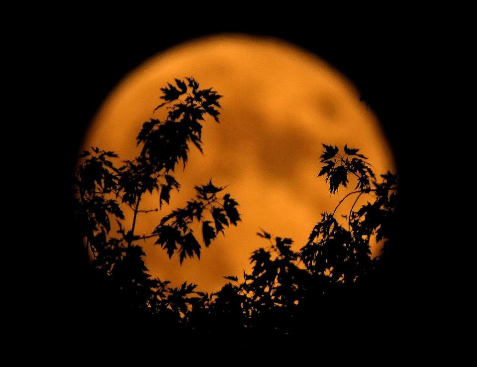 A hunter's moon is the first full moon that occurs after a harvest moon, which lands around the autumnal equinox.
