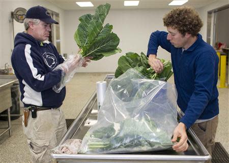 Jack Moose (L), who runs the kitchen at the Chester County Food Bank's warehouse, and the food bank's agricultural director Bill Shick bag collard greens for distribution in Exton, Pennsylvania, November 21, 2013. REUTERS/Tom Mihalek