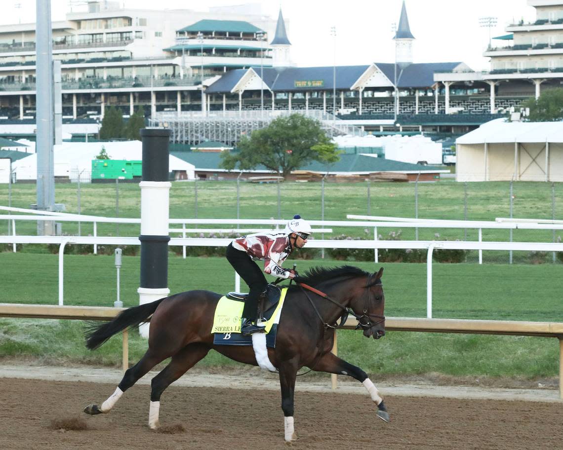 Kentucky Derby hopeful Sierra Leone gallops at Churchill Downs on April 23. His name comes from his sire, Gun Runner, because there is a lot of arms dealing in Sierra Leone, Africa. Coady Media