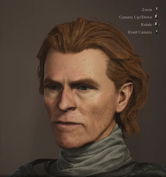 Dragon's Dogma character creator.