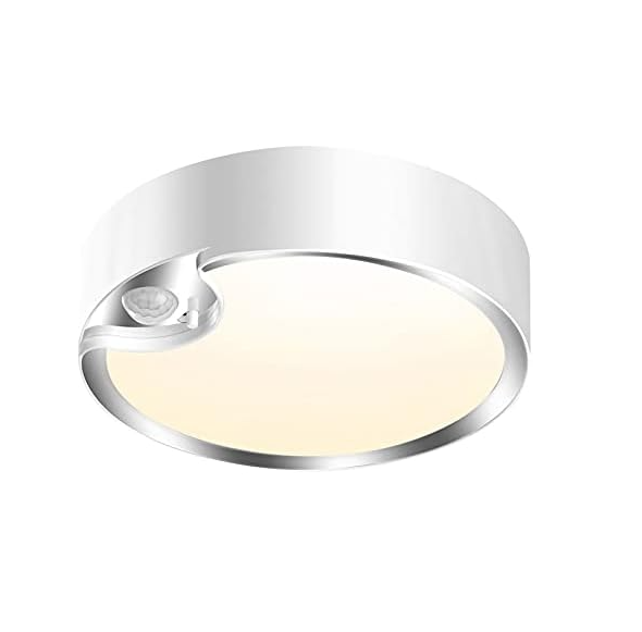 motion sensor ceiling light