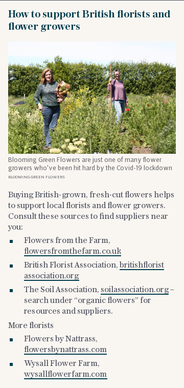 How to support British florists and flower growers