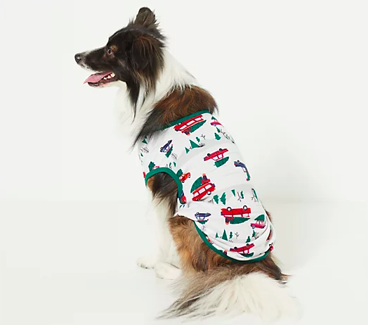 Your pet can get in on the matching action, too! (Photo: QVC)