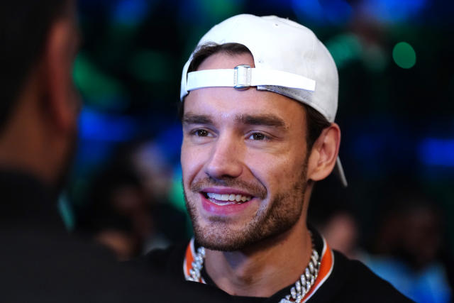 Louis Tomlinson looks stylish as he reunites with One Direction bandmate  Liam Payne