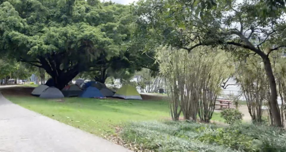 Tents pictured under a tree in Brisbane park.