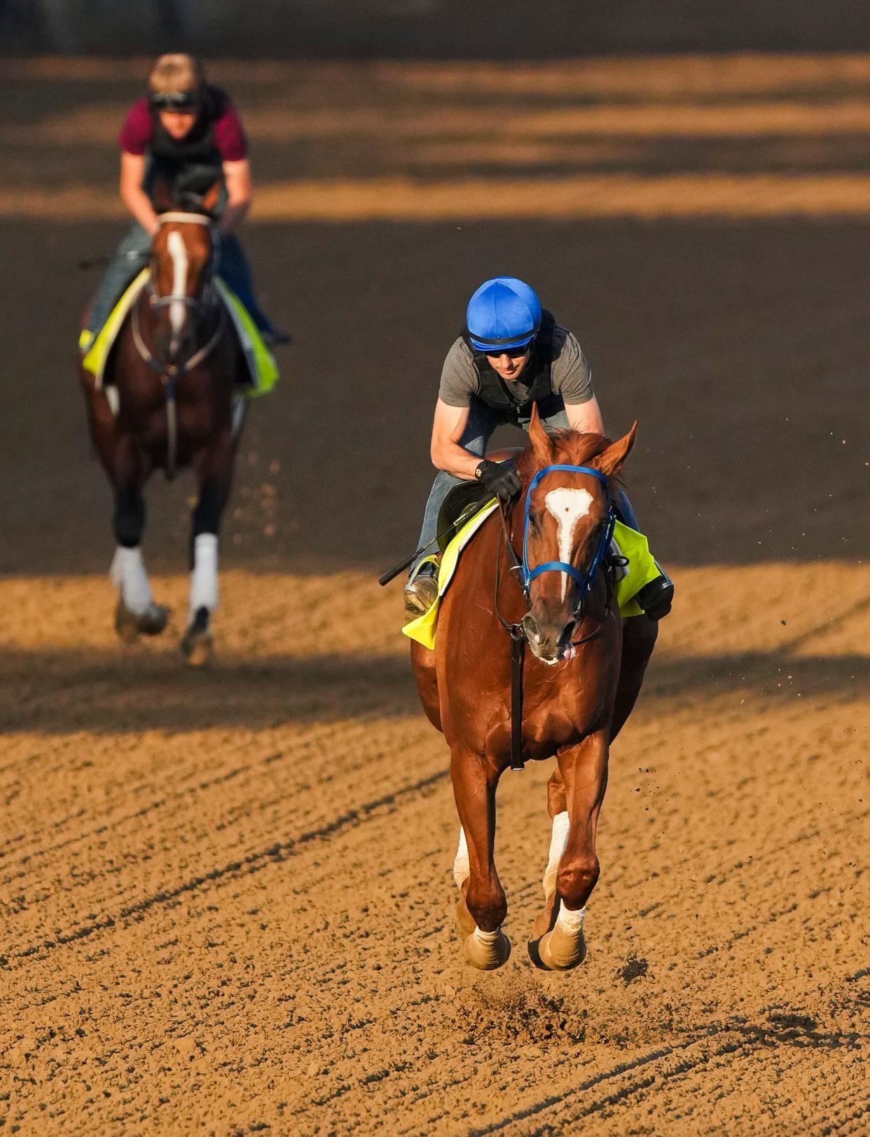 Preakness Stakes contender Mugatu works out May 1 at Churchill Downs.