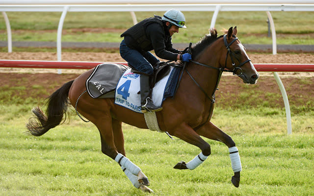 Won the Ascot Gold Cup in June defeating Kingfisher. Ran 3rd in the Goodwood Cup behind Big Orange and Quest for More. Is suited in this field and will relish the light weight.