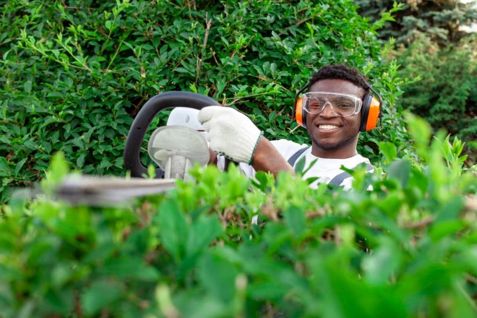 A smiling man with orange noise-reducing headphones trims a lush green hedge.