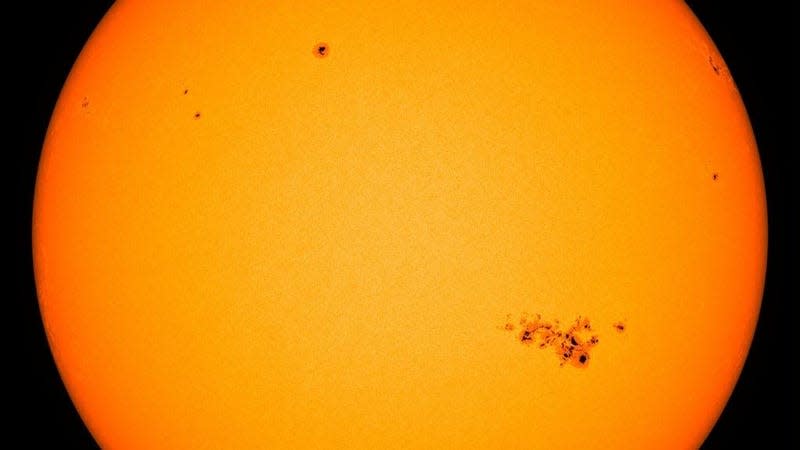 Sunspot AR3664 captured by the Solar Dynamics Observatory. - Image: NASA