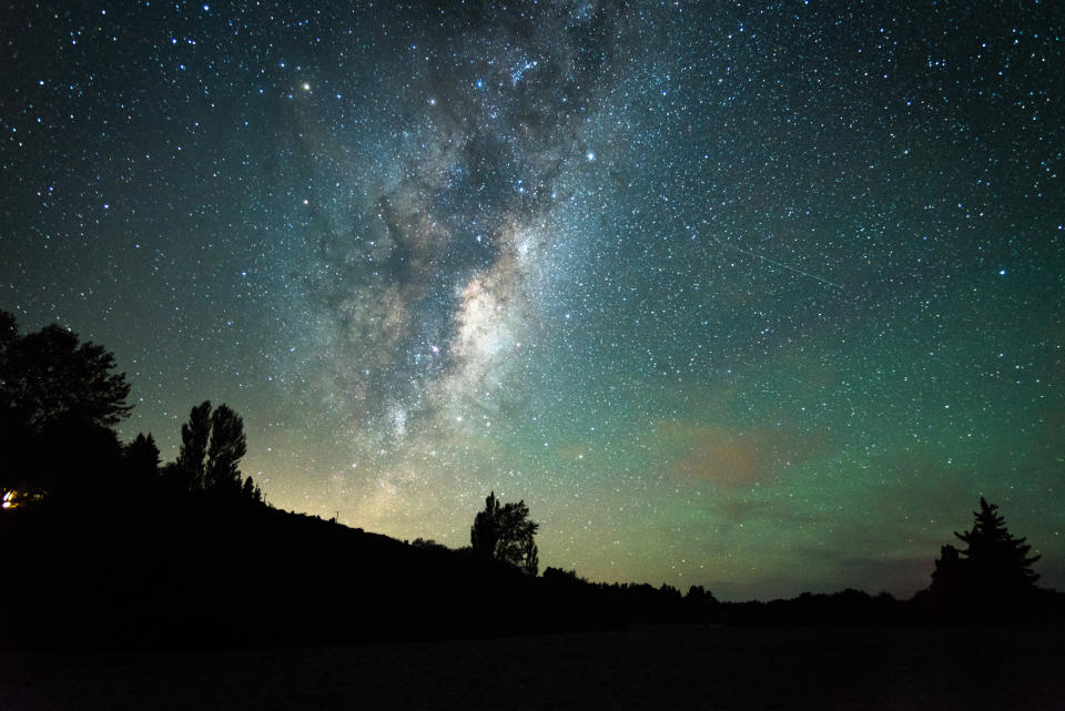 Silhouette von Bäumen vor dem Hintergrund eines Sternenfeldes bei Nacht, Rakaia, Neuseeland