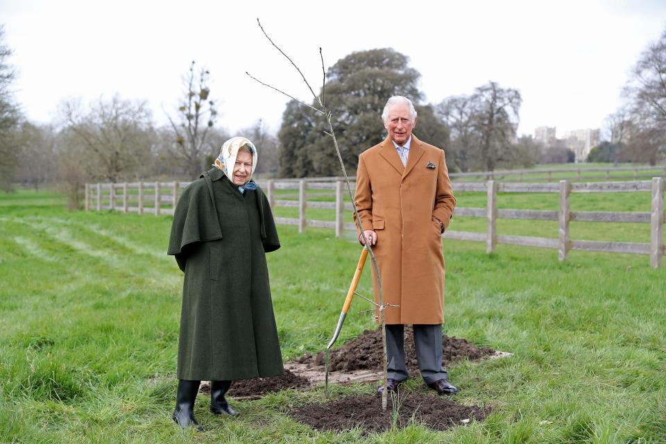 The Queen and Prince Charles launching the Queen’s Green Canopy tree-planting initiative at Windsor Castle.