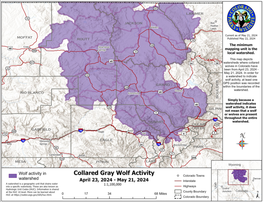 This map shows collared gray wolf activity recorded by CPW from April 23 through May 21, 2024. (Courtesy Colorado Parks and Wildlife)