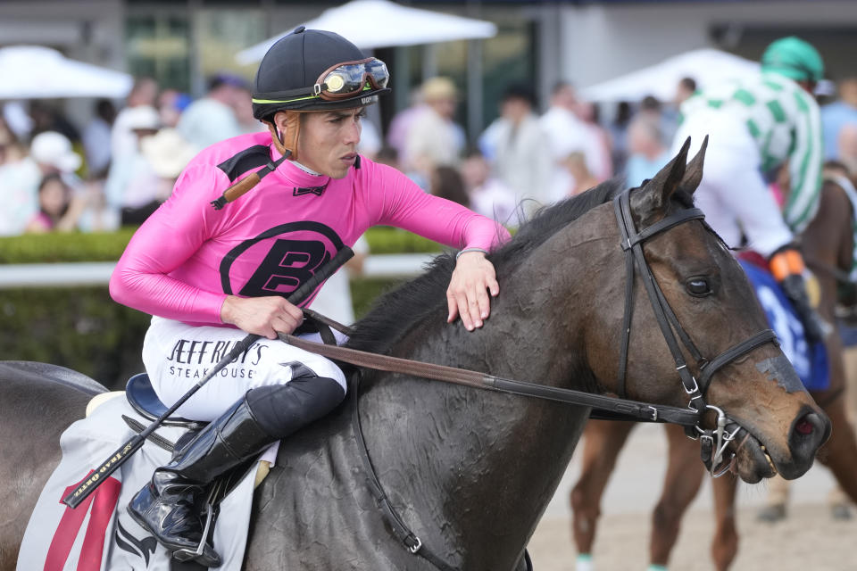 Jockey Luis Saez strokes the neck of Alpha Bella after they won a race during the Pegasus World Cup horse races, Saturday, Jan. 27, 2024, at Gulfstream Park in Hallandale Beach, Fla. (AP Photo/Wilfredo Lee)