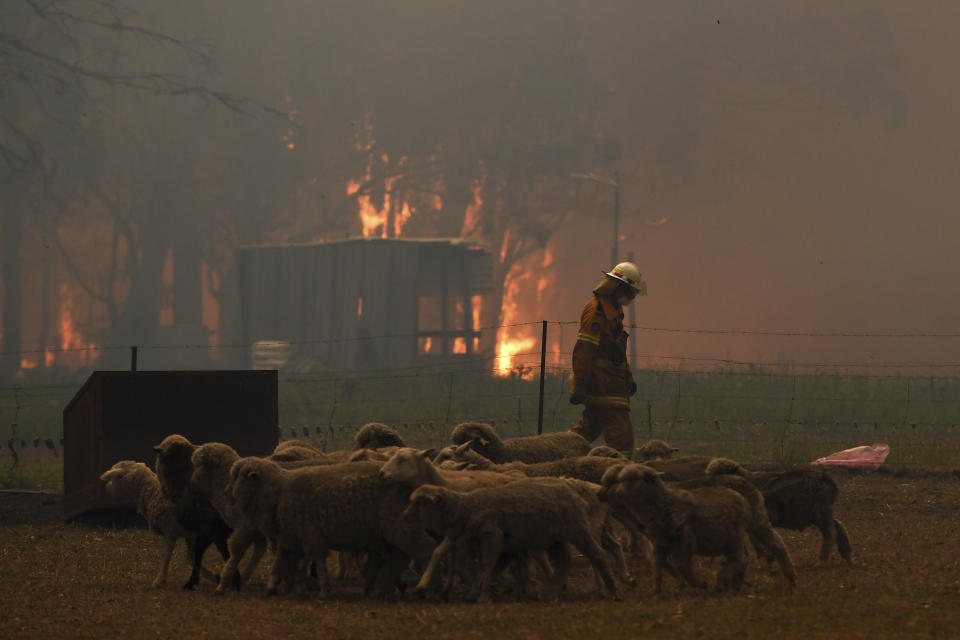 Rural Fire Service crew engage in property protection of a number of homes along the Old Hume Highway near the town of Tahmoor, New South Wales, as the Green Wattle Creek Fire threatens a number of communities in the southwest of Sydney, Thursday, Dec. 19, 2019. Australia's most populous state of New South Wales declared a seven-day state of emergency Thursday as oppressive conditions fanned around 100 wildfires. (Dean Lewins/AAP Images via AP)