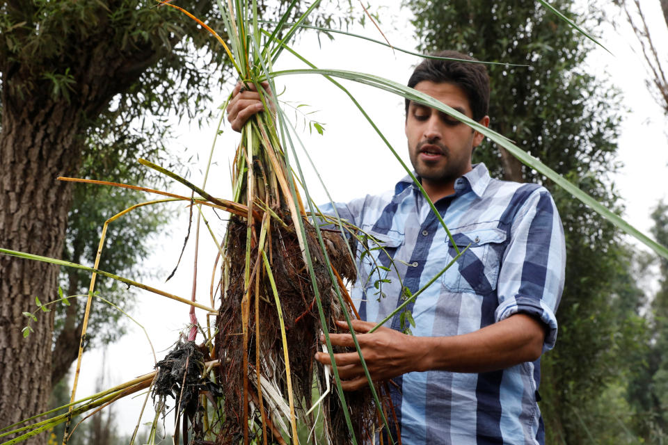 Carlos Uriel demonstrates how natural filters create a protected area for the Axolotl (Ambystoma mexicanum), or Mexican salamander, in Xochimilco on the outskirts of Mexico City