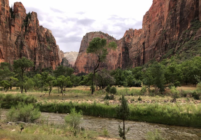 ZION NATIONAL PARK, UTAH AUGUST 5, 2019 -- The Virgin River winds through the red rock canyon walls near the Temple of Sinawava inside Zion National Park in Utah. (Marc Martin / Los Angeles Times)