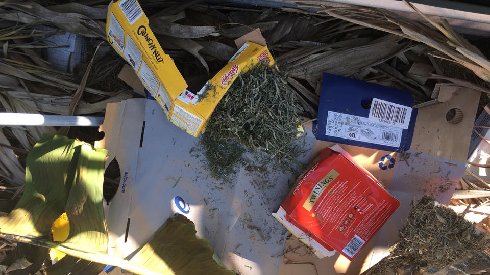 Cardboard is flattened and layered with mulch in the veggie patch. Source: Supplied