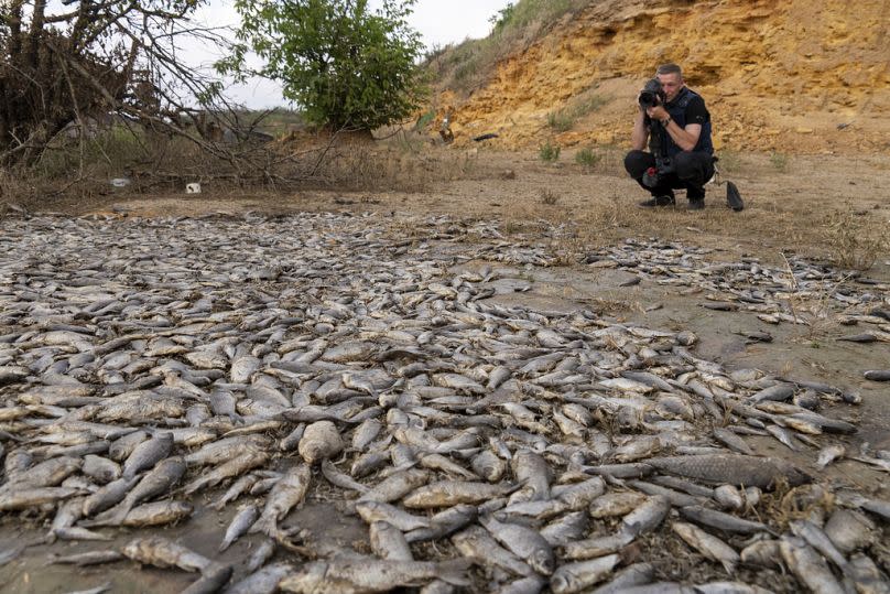 A photographer takes photo of dead fish in the dried-up Kakhovka Reservoir after recent catastrophic destruction of the Kakhovka dam near Kherson, June 2023