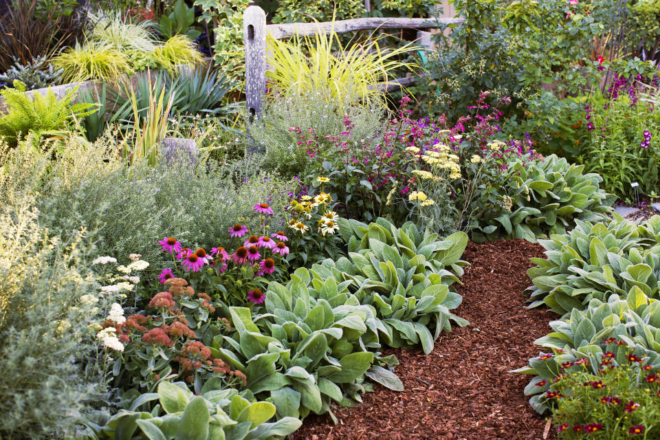 Add color to your garden from spring to fall with our water-wise favorites