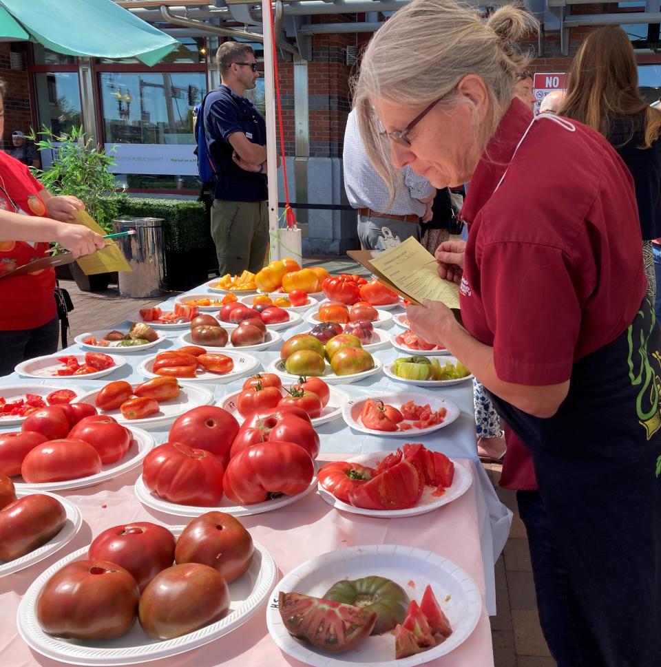 Tina Bemis looks over the heirloom tomatoes that were ripe for judging at the 38th Annual Massachusetts Tomato Contest Tuesday in Boston.