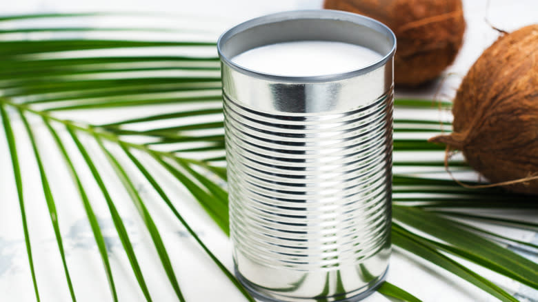 Can of coconut milk with coconuts and palm