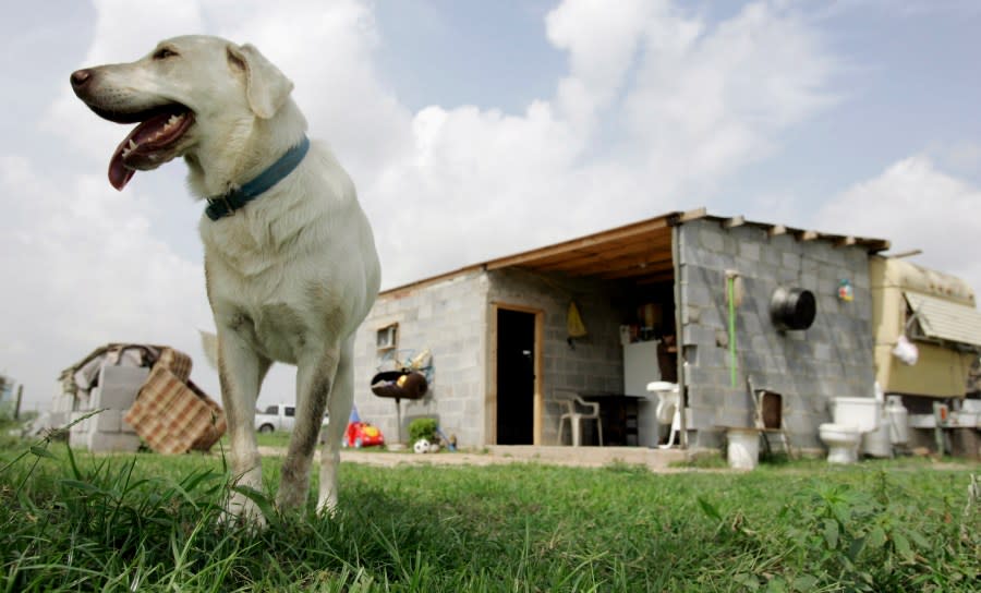 A dog walks through the yard of a home in a colonia in Penitas, Texas, Saturday, July 7, 2007. (AP Photo/Eric Gay)