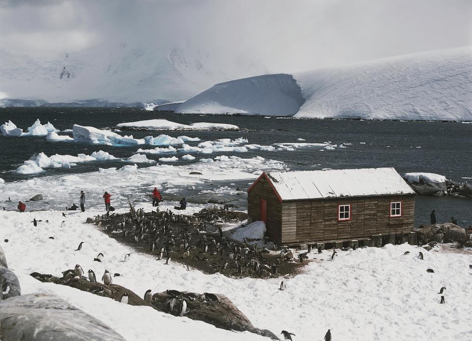 Penguins around the old British base of Port Lockroy, Goudier Island, Antarctic Peninsula, Antarctica.  / Credit: DeAgostini/Getty Images