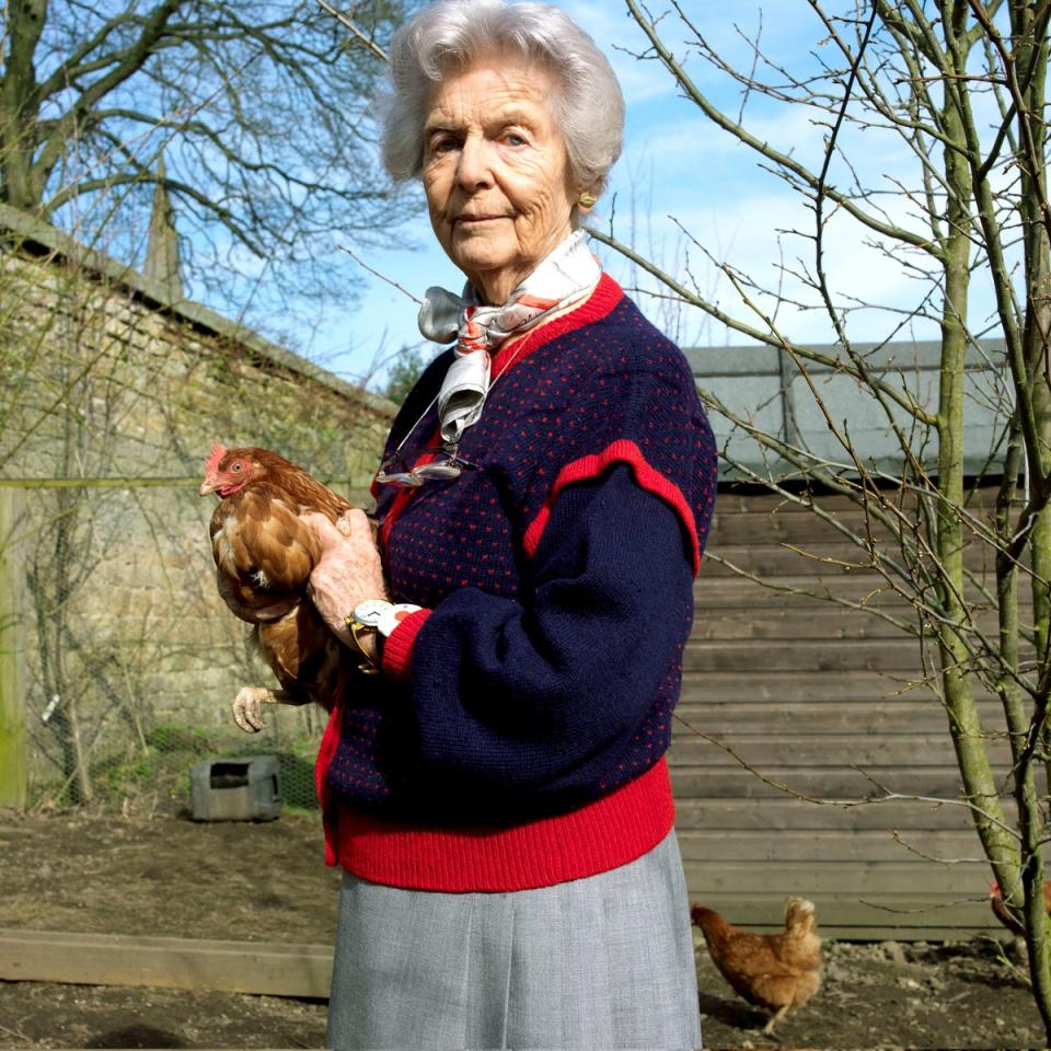 A lifelong lover of chickens, The Hon. Deborah Freeman-Mitford holds one of her brown and buff crossbreeds at her home on the Chatsworth Estate, Derbyshire (Corbis via Getty Images)