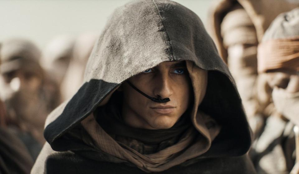 Timothée Chalamet stars in the new movie adaptations of ‘Dune’ (Warner Bros)
