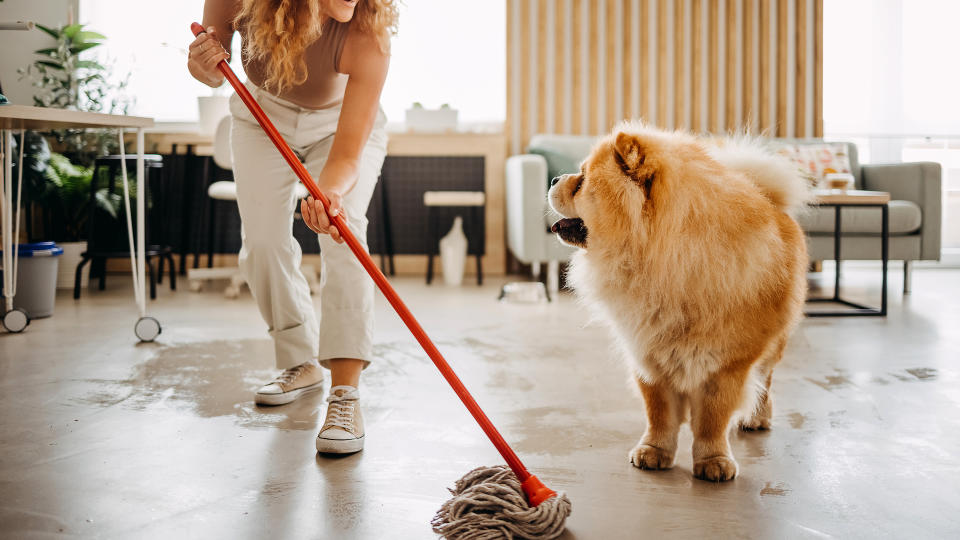 Cleaning equipment and poop bags