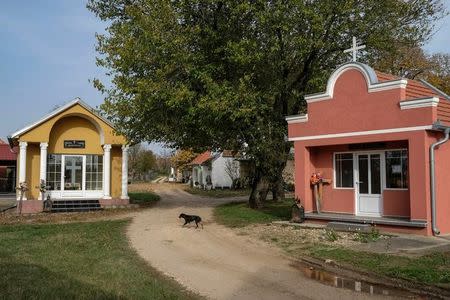 A dog walks past chapels at a cemetery in the village of Smoljinac, Serbia, October 25, 2016. REUTERS/Marko Djurica